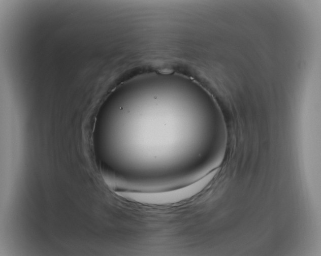 X0000113891249200910011316