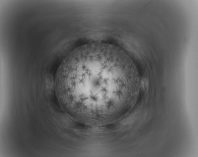 X0000113891251200910011316