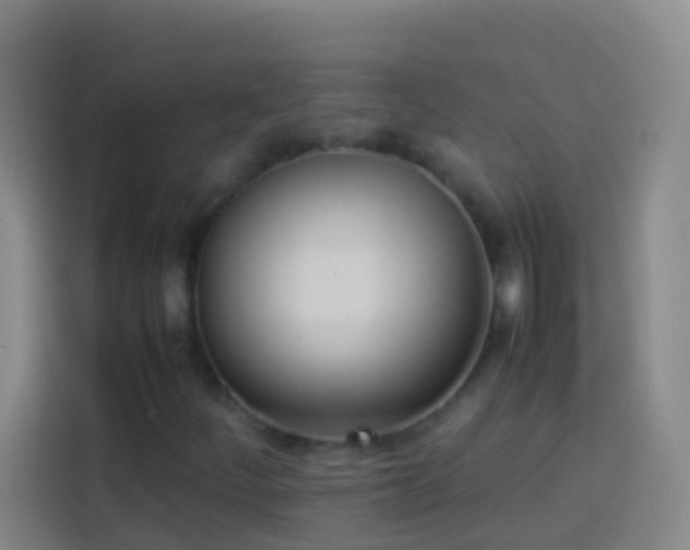 X0000113891252200910011316