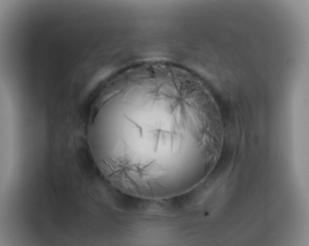 X0000113891255200910011315