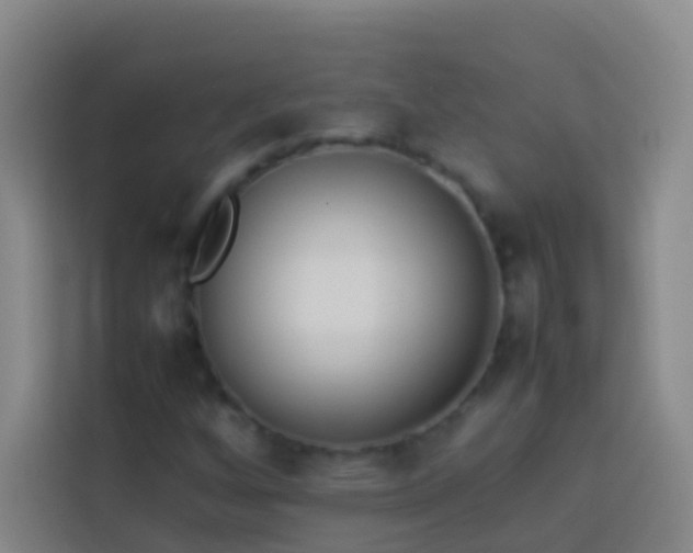 X0000113891256200910011315