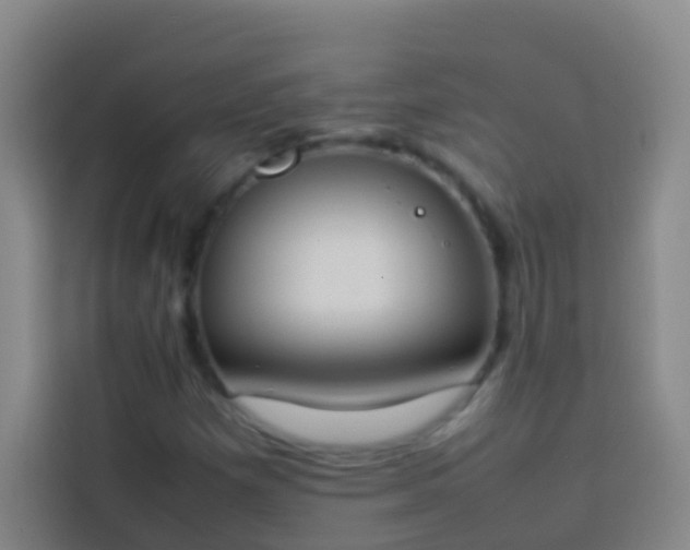 X0000113891257200910011315