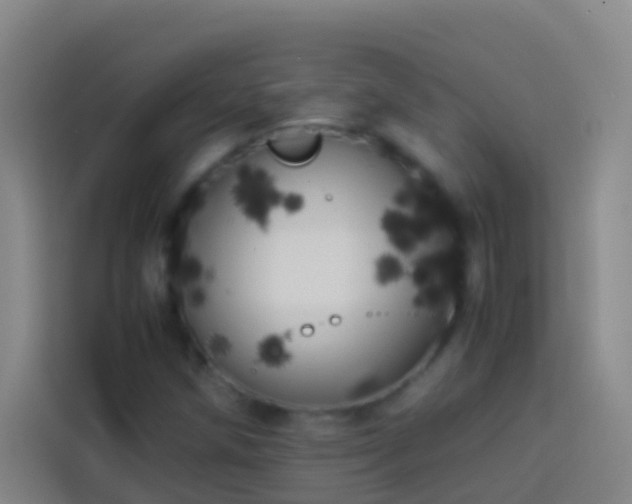 X0000113891258200910011315