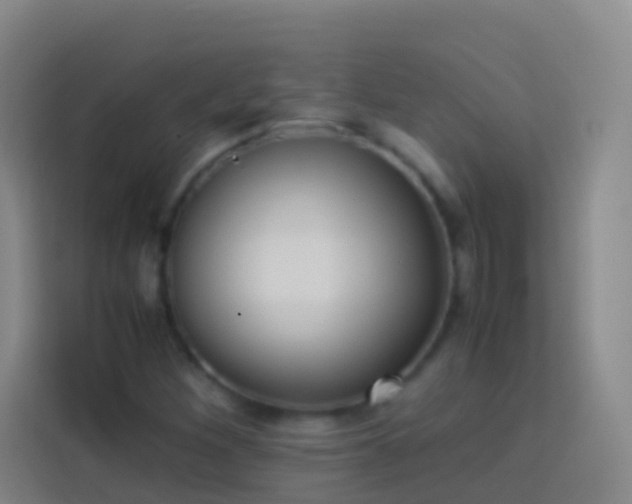 X0000113891260200910011315