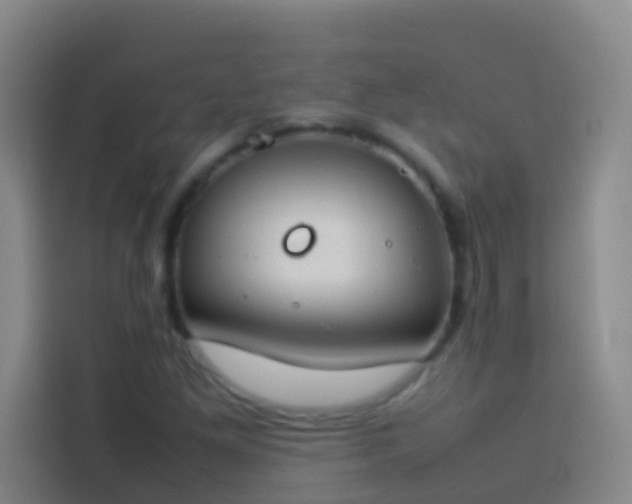 X0000113891261200910011315