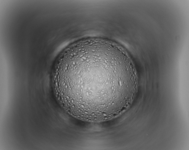 X0000113891263200910011315