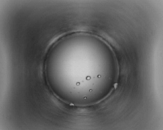 X0000113891264200910011315