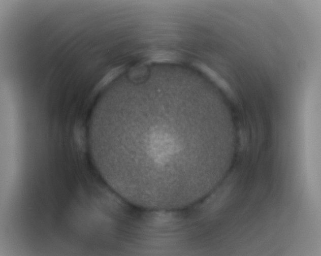 X0000113891266200910011315