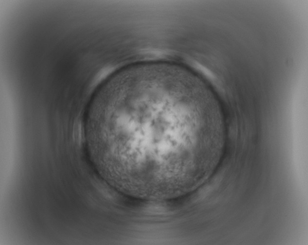 X0000113891267200910011315