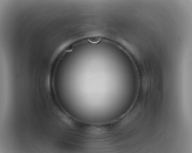 X0000113891270200910011315