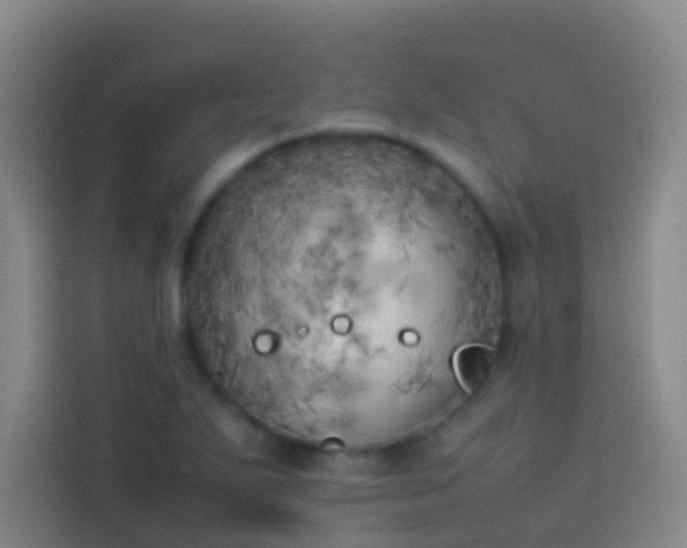 X0000113891271200910011315