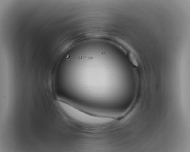 X0000113891273200910011315