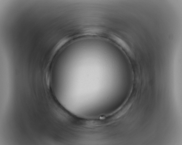 X0000113891275200910011315