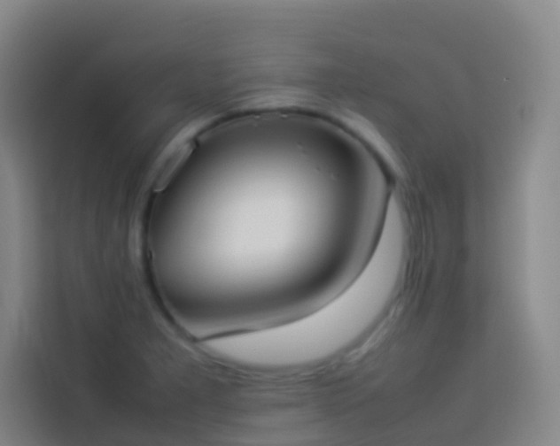 X0000113891277200910011315