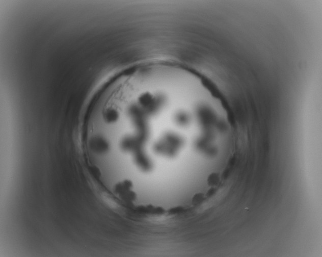 X0000113891278200910011315