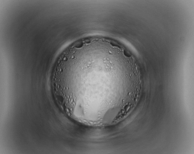 X0000113891279200910011315