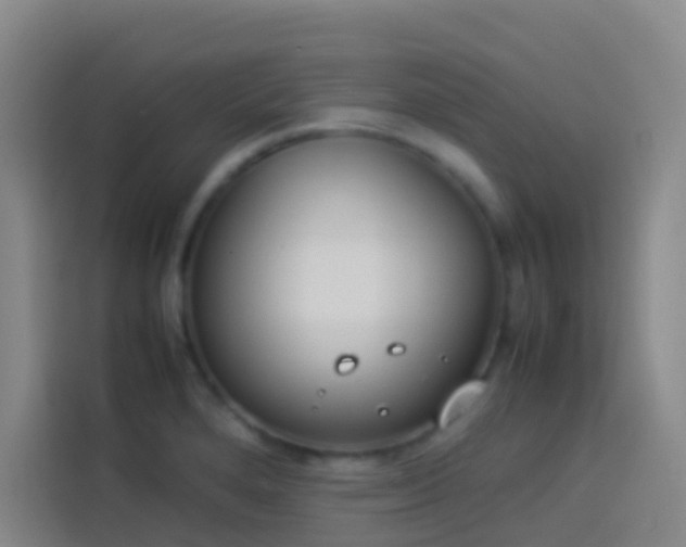 X0000113891280200910011315