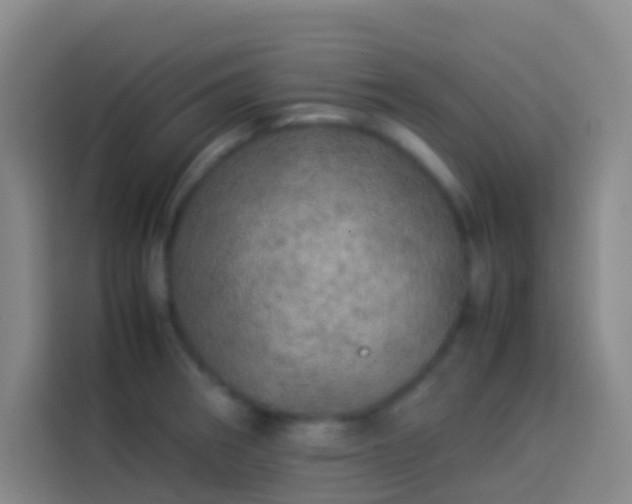 X0000113891282200910011315