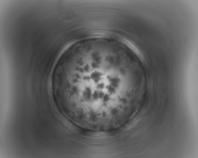 X0000113891283200910011315
