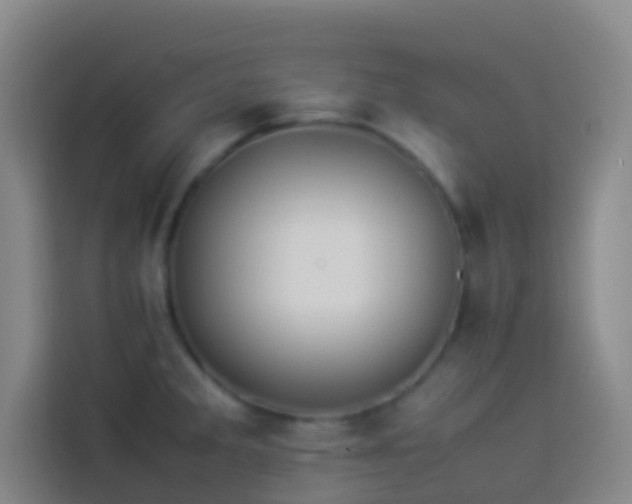 X0000113891285200910011315