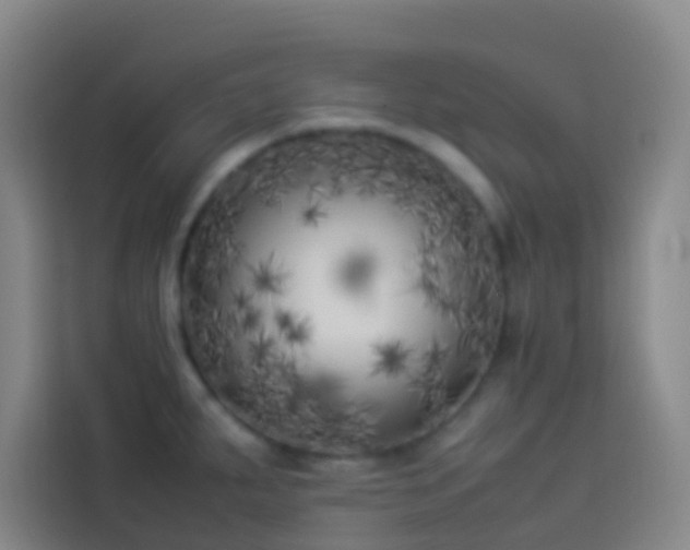 X0000113891287200910011315