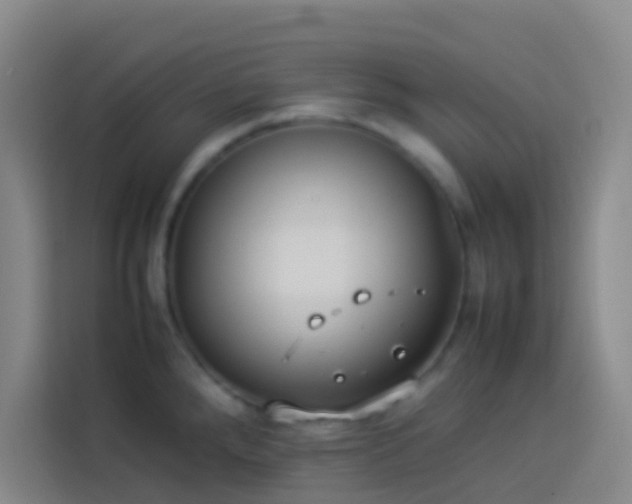 X0000113891288200910011315