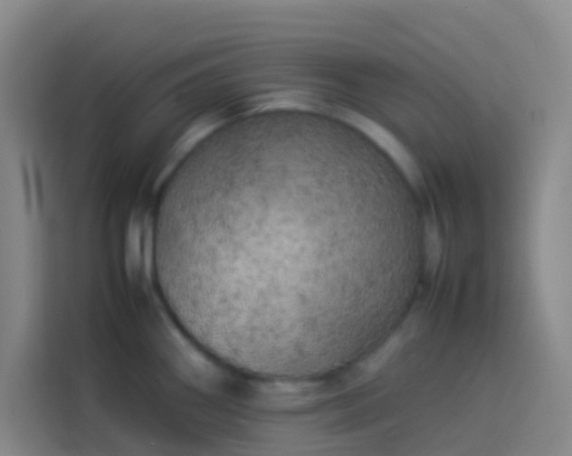 X0000113891290200910011315