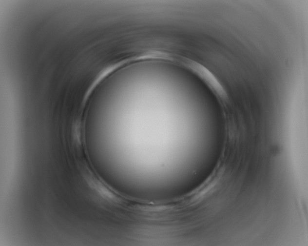 X0000113891292200910011315