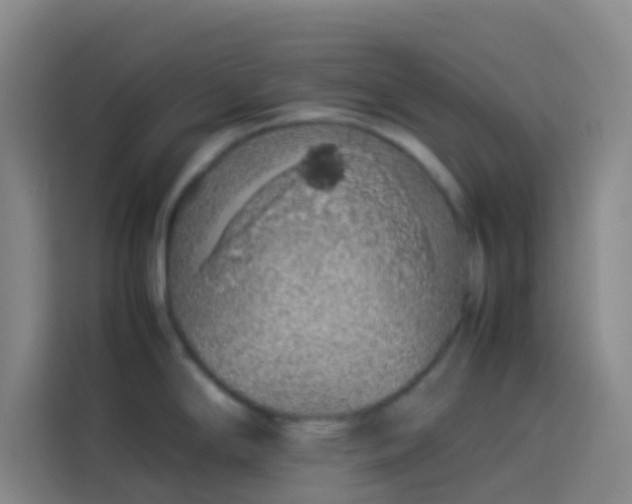 X0000113891294200910011315