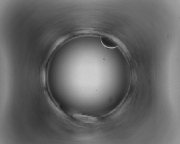 X0000113891295200910011315