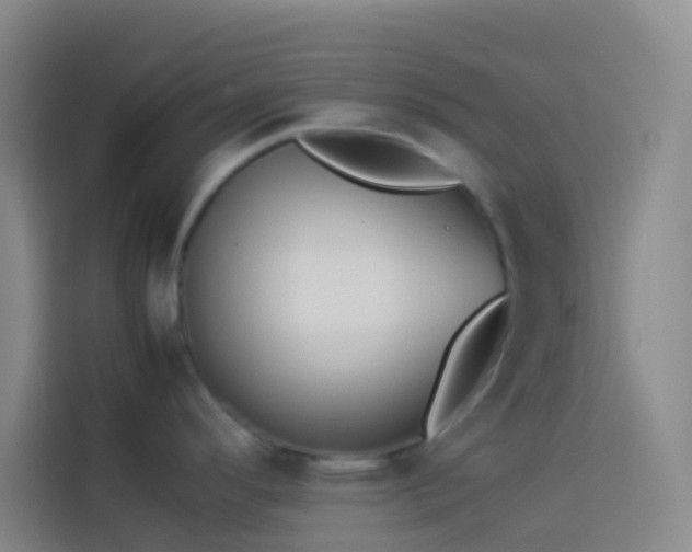 X0000113891296200910011315