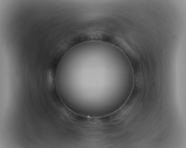 X0000113891298200910011314