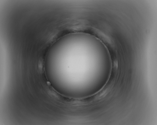 X0000113891300200910011314