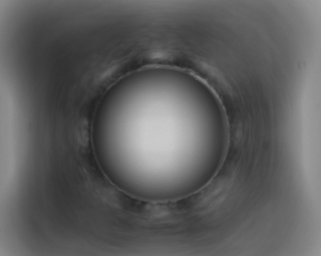 X0000113891301200910011314