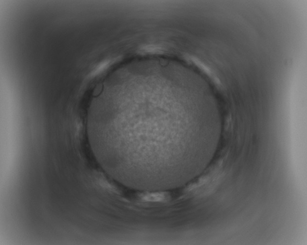 X0000113891303200910011314