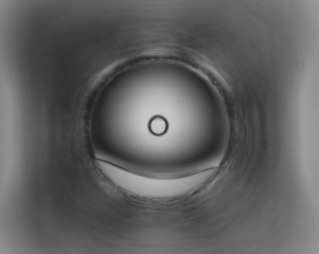 X0000113891304200910011314