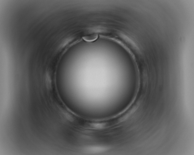 X0000113891305200910011314