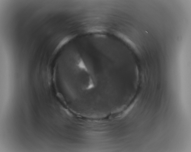 X0000113891306200910011314