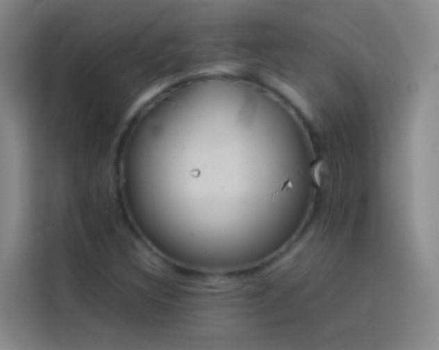 X0000113891308200910011314