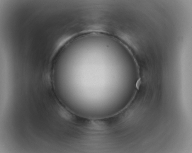 X0000113891312200910011315