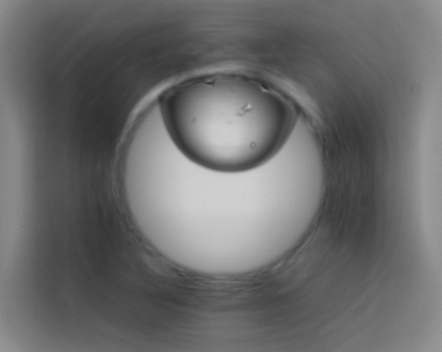 X0000113891316200910011315