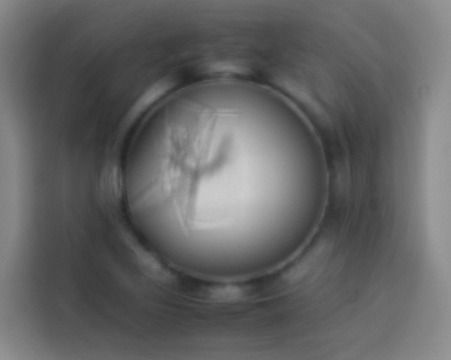 X0000113891317200910011315