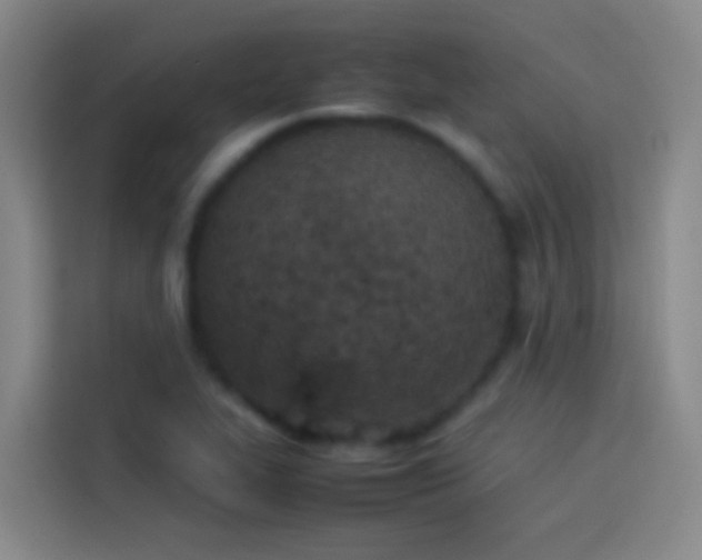 X0000113891319200910011315