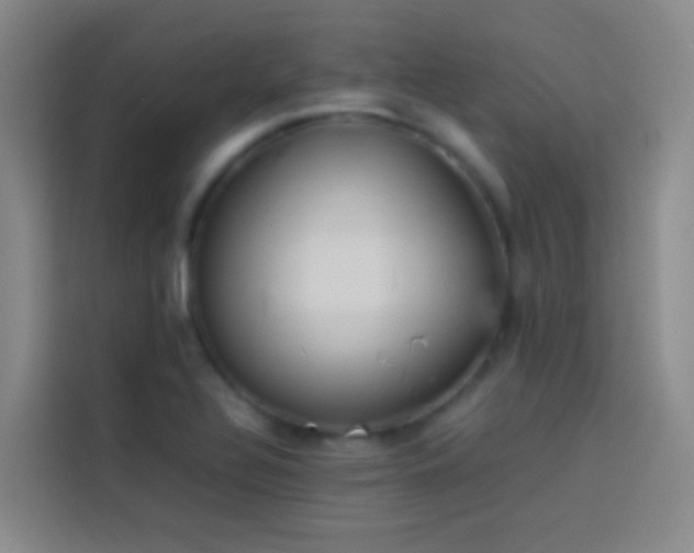 X0000113891320200910011315