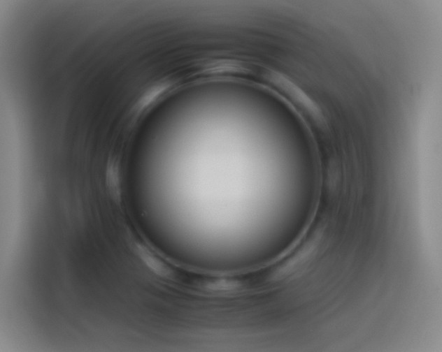 X0000113891321200910011315