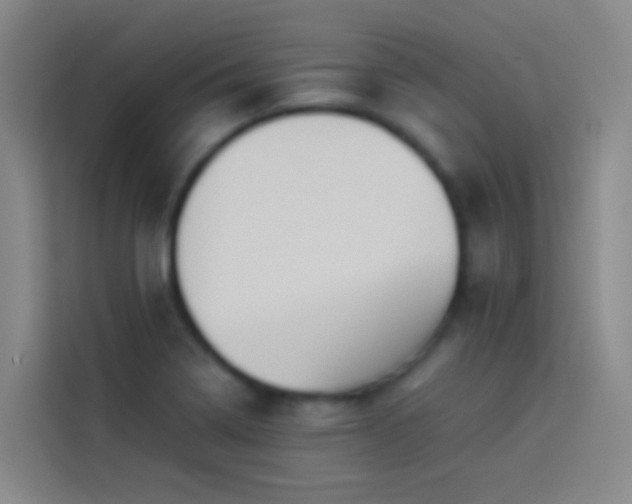 X0000113891322200910011315