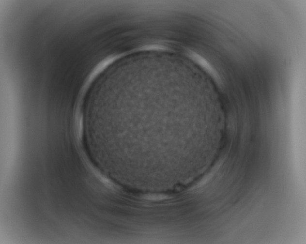 X0000113891323200910011315