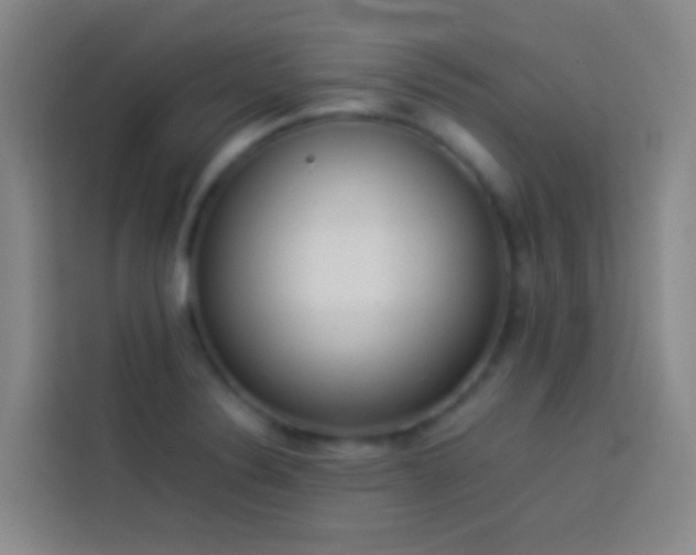 X0000113891324200910011315