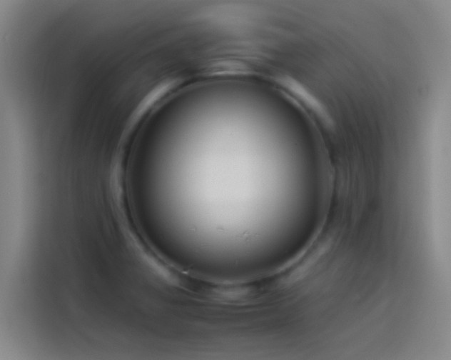 X0000113891325200910011315