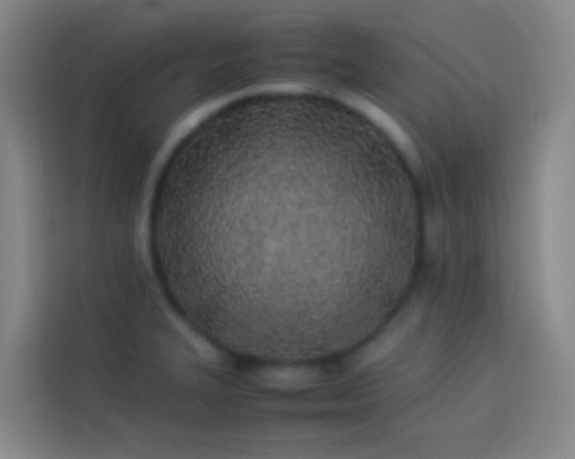 X0000113891327200910011315